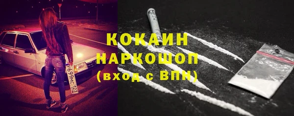 шишки Алексин