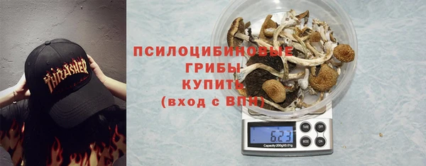 шишки Алексин