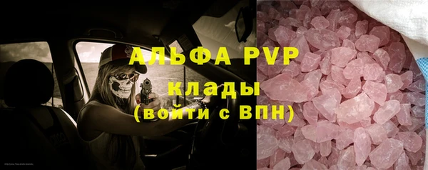прущая мука Вяземский