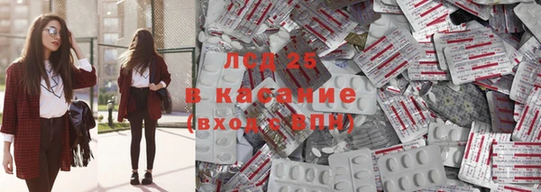шишки Алексин