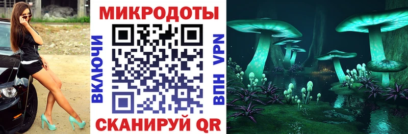 Псилоцибиновые грибы Magic Shrooms  Дмитриев 